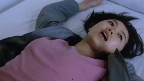 国产一级伦理,传承与创新中的道德坚守